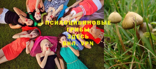 PSILOCYBIN Беломорск