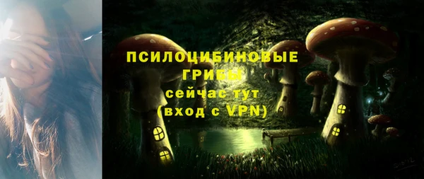 МДМА Елизово