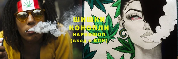 PSILOCYBIN Беломорск