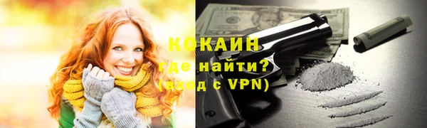 хмурый Белокуриха