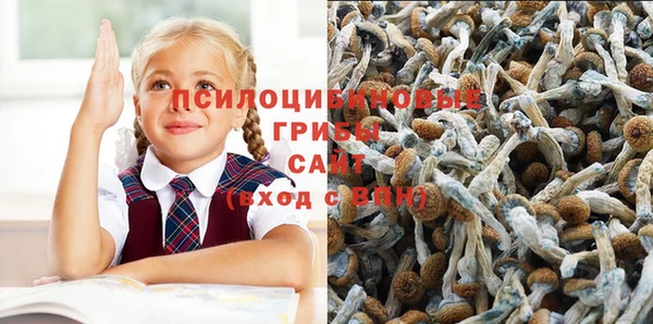 ешки Белоозёрский