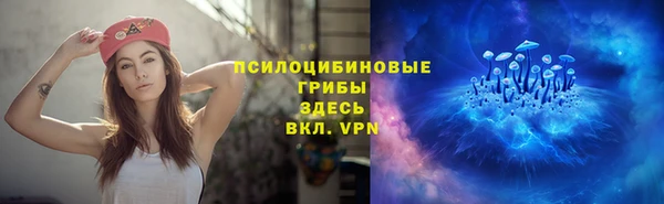 хмурый Белокуриха
