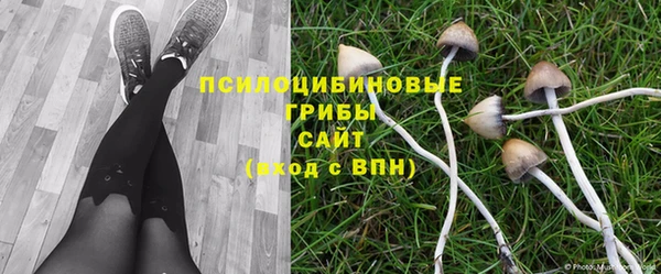 PSILOCYBIN Беломорск
