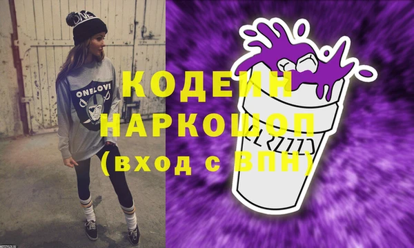 хмурый Белокуриха