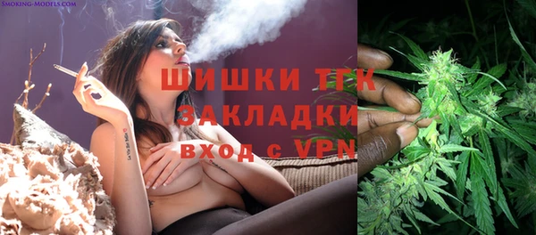 PSILOCYBIN Беломорск